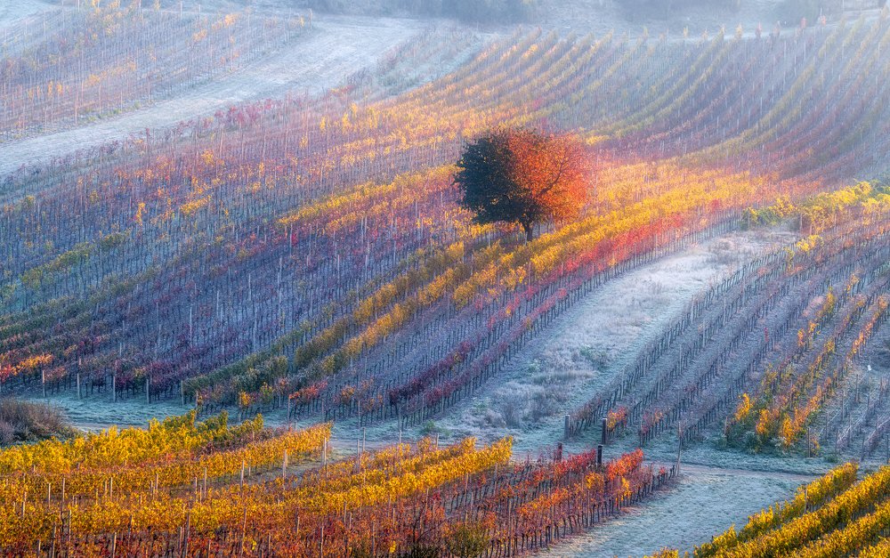 Дыхание зимы...