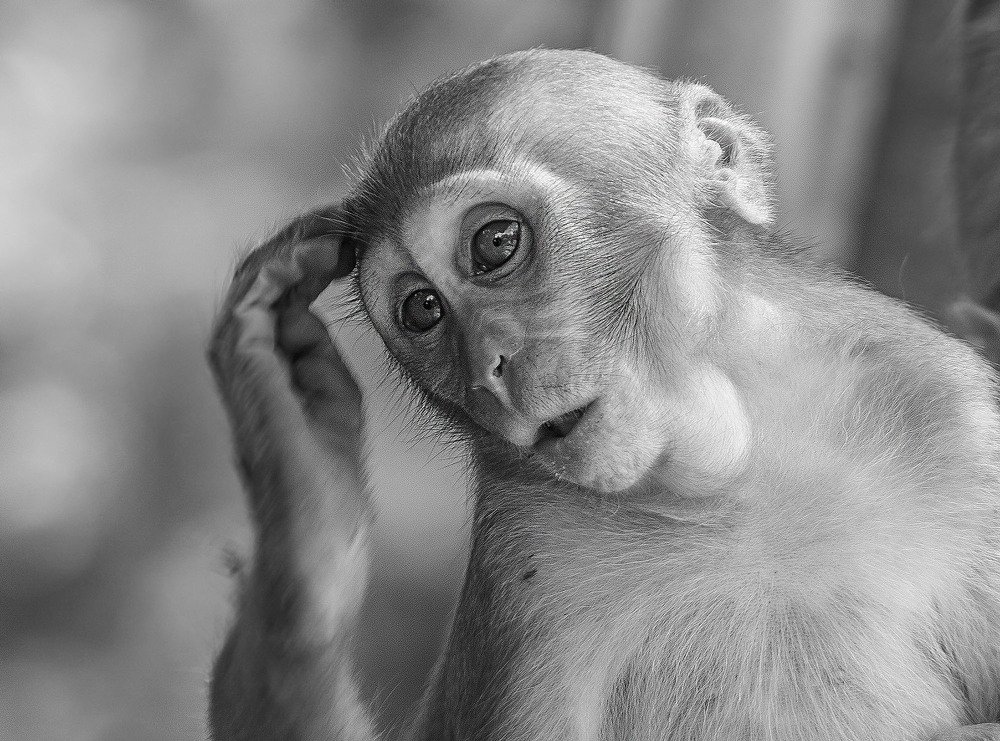 Photograph by Salim Alhajri