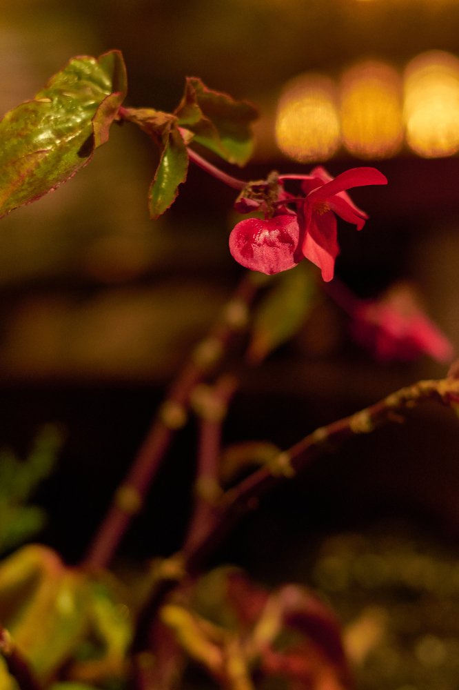 Photograph by Артем Большаков