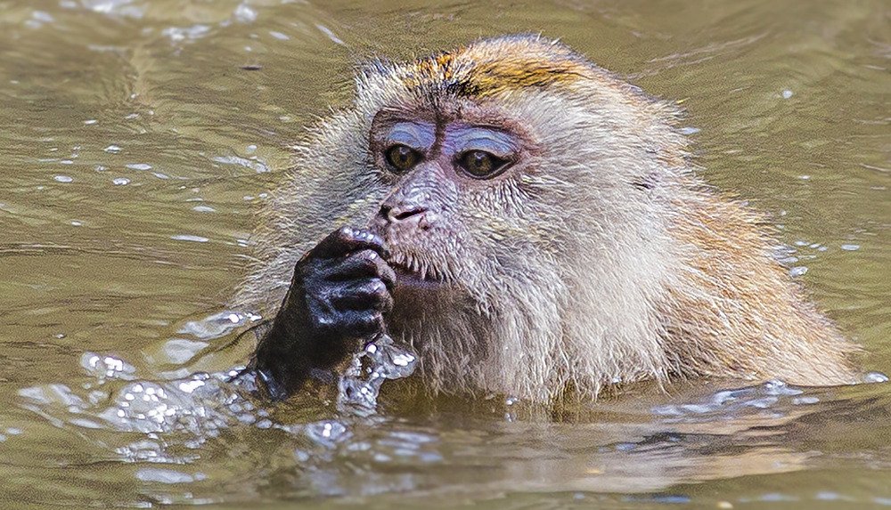 Photograph by Salim Alhajri