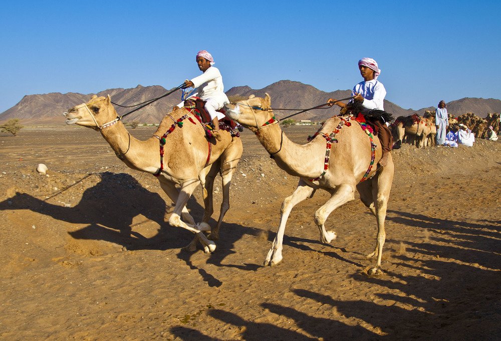 Photograph by Salim Alhajri