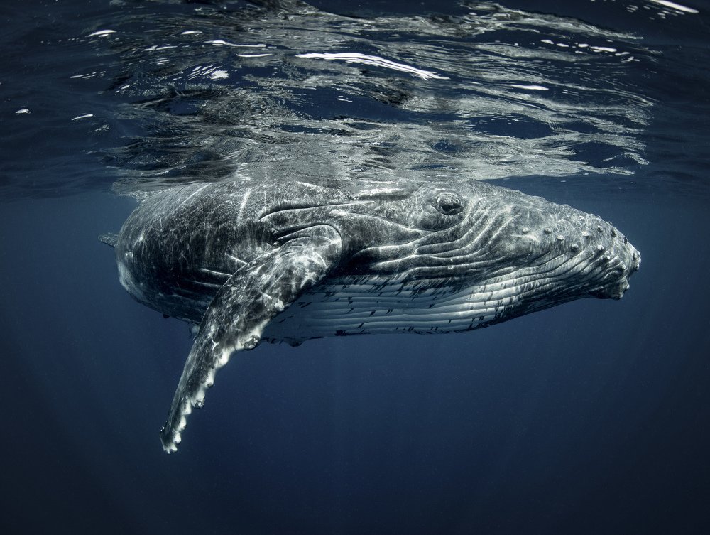 Photograph by takahashi reiko