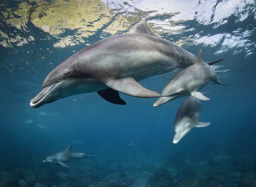 Photograph by takahashi reiko