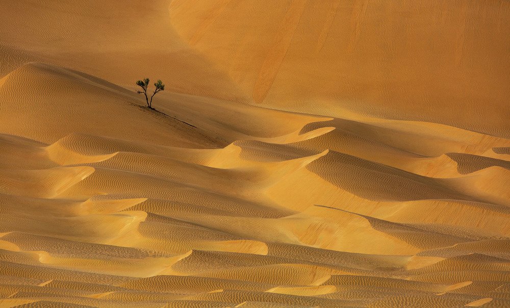 Photograph by Salim Alhajri