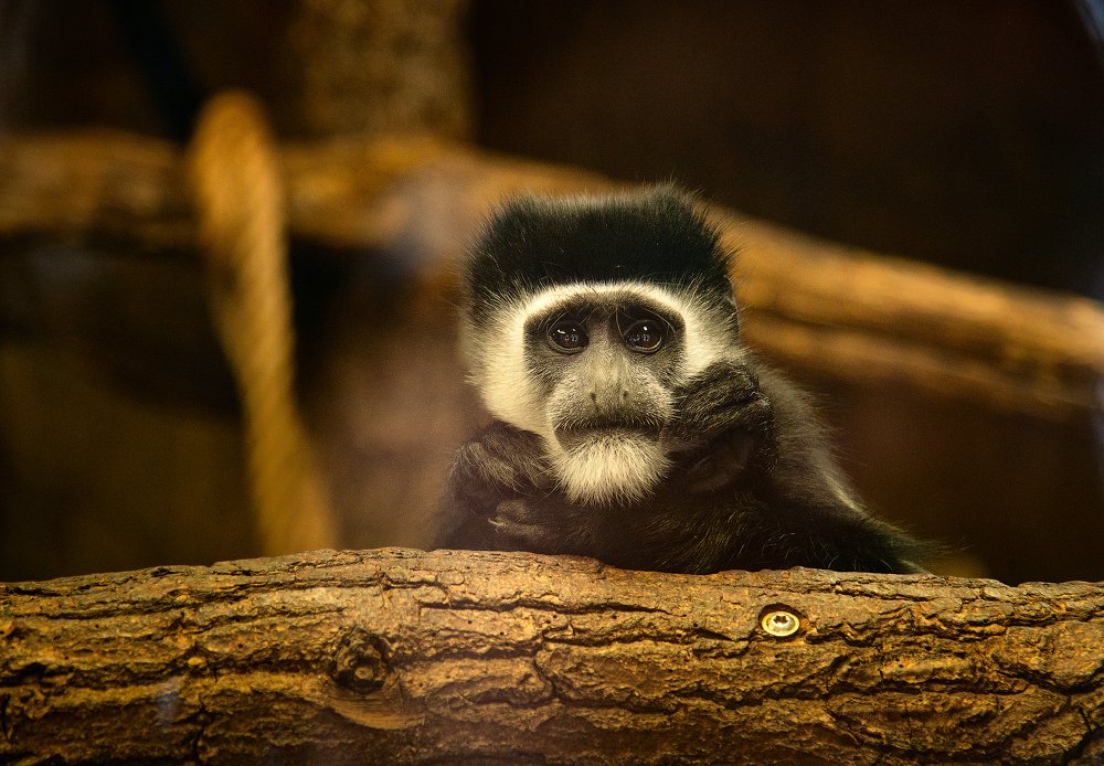 Photograph by Юлия Борт