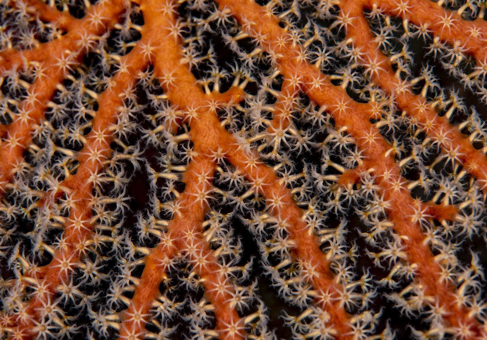 Photograph by takahashi reiko