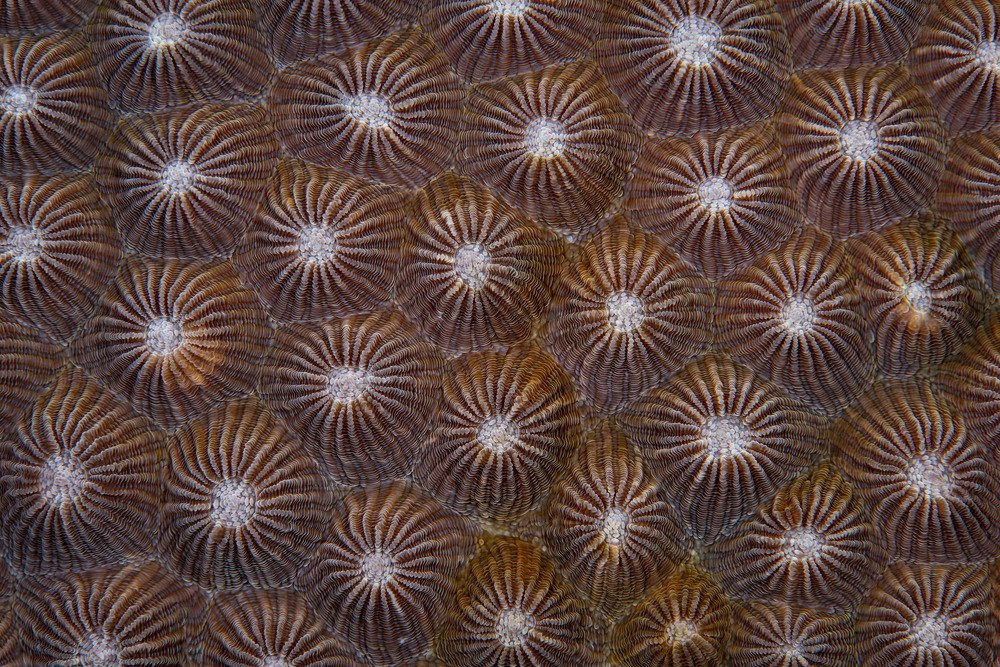 Photograph by takahashi reiko