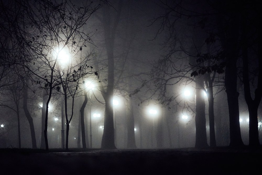 Photograph by Дмитрий Янковский