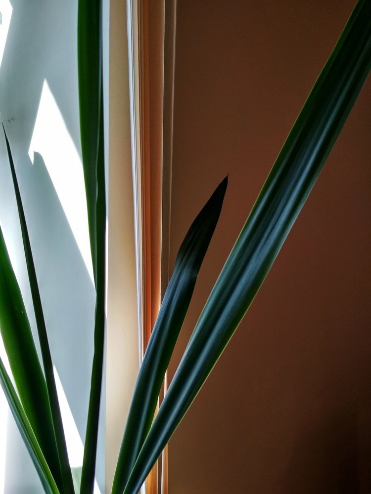 Photograph by Игорь Юркивский