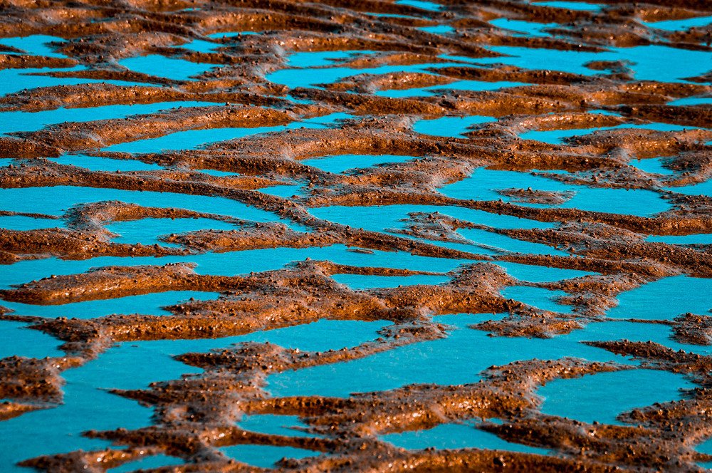 Photograph by Ela Opatowiecka