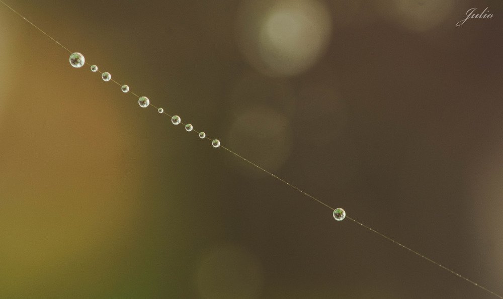 Photograph by Iuliu Borhidan