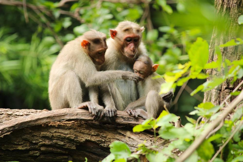 Photograph by Venki Venkatesh