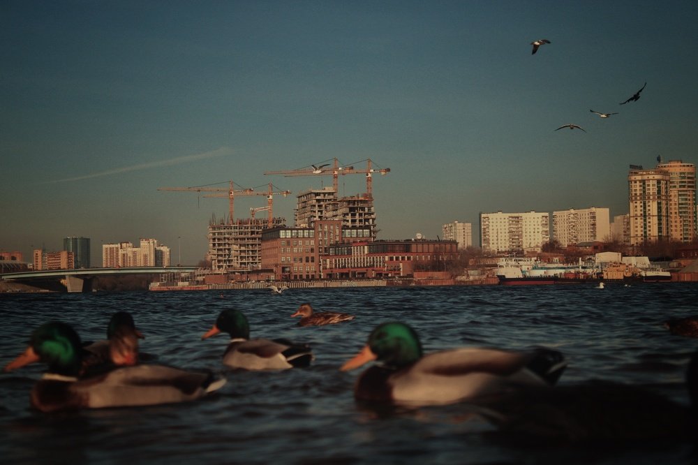 Photograph by Олег Догонов