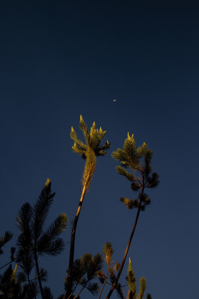 Photograph by Alejandra Collarte