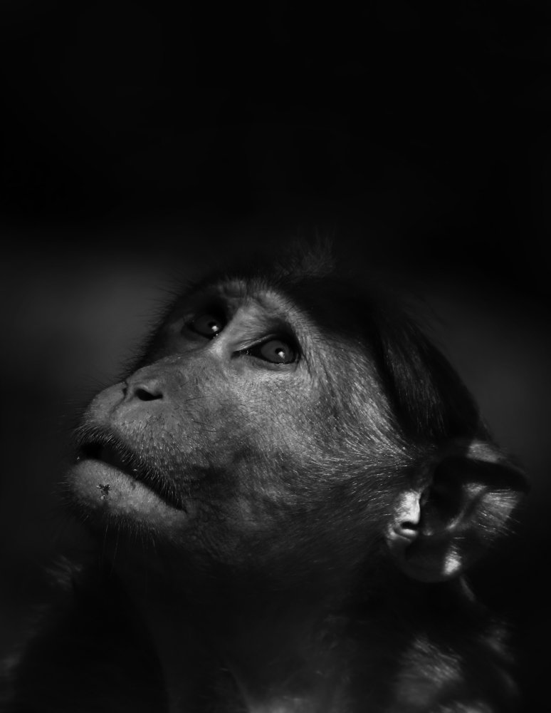 Photograph by bhaskar burman