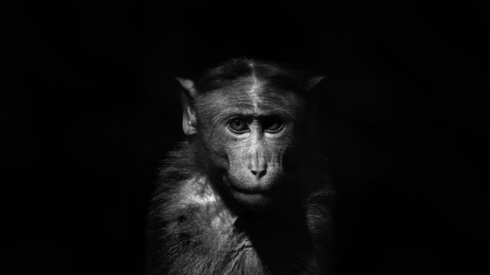 Photograph by bhaskar burman