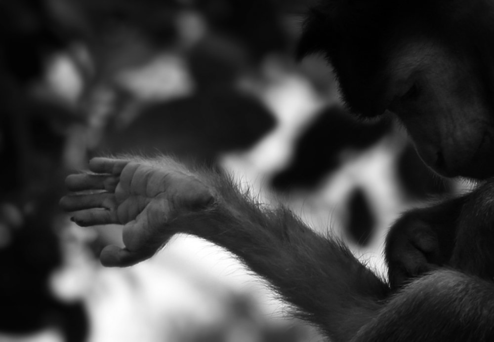 Photograph by bhaskar burman