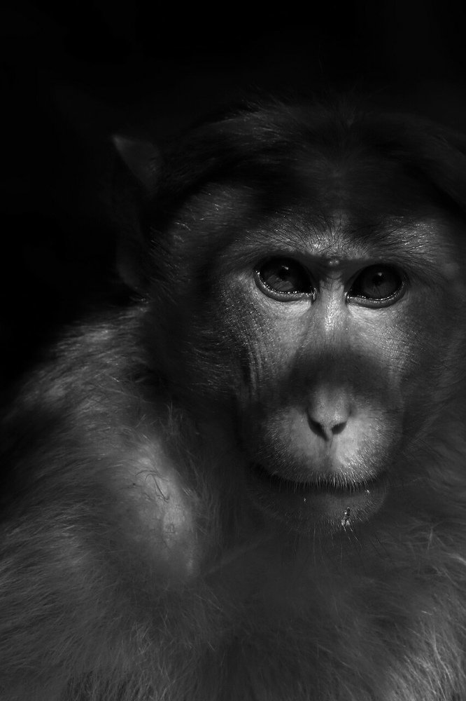 Photograph by bhaskar burman