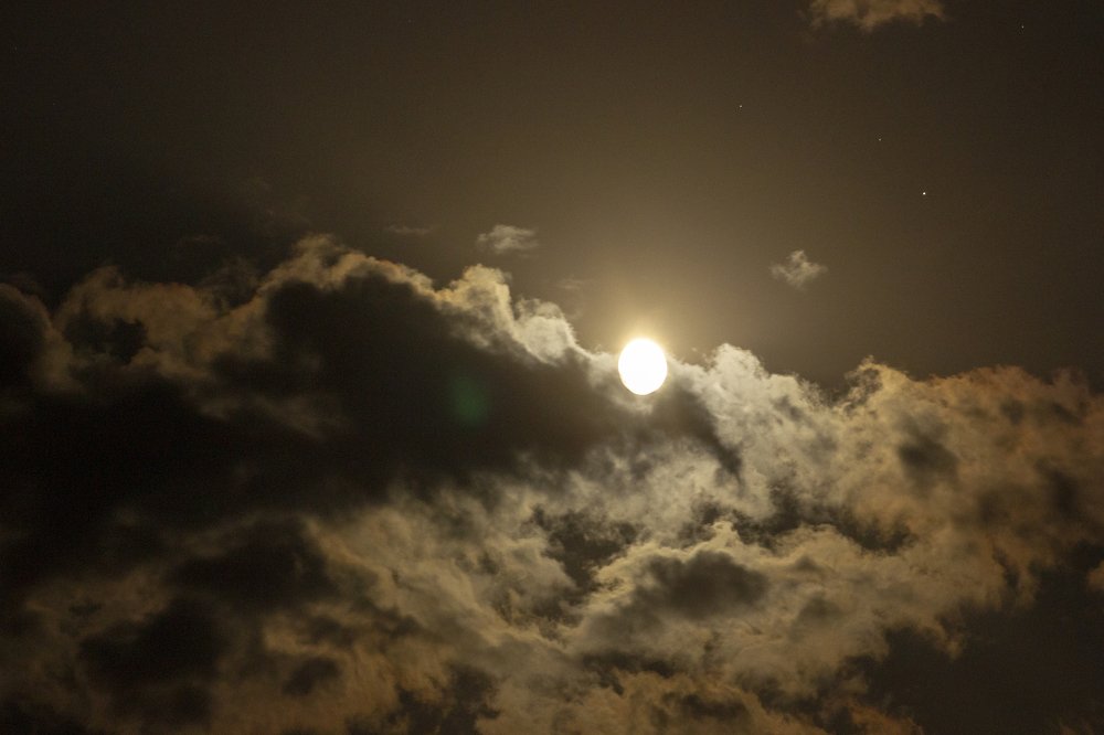 Photograph by Максим Грищенко