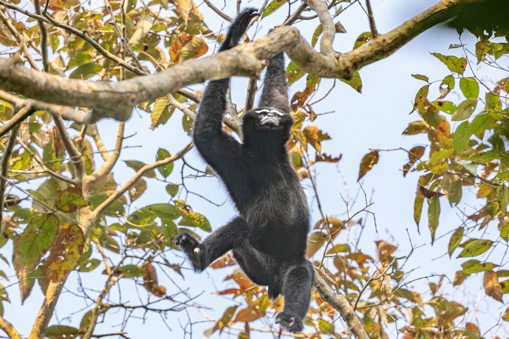 Photograph by Lionel falcao