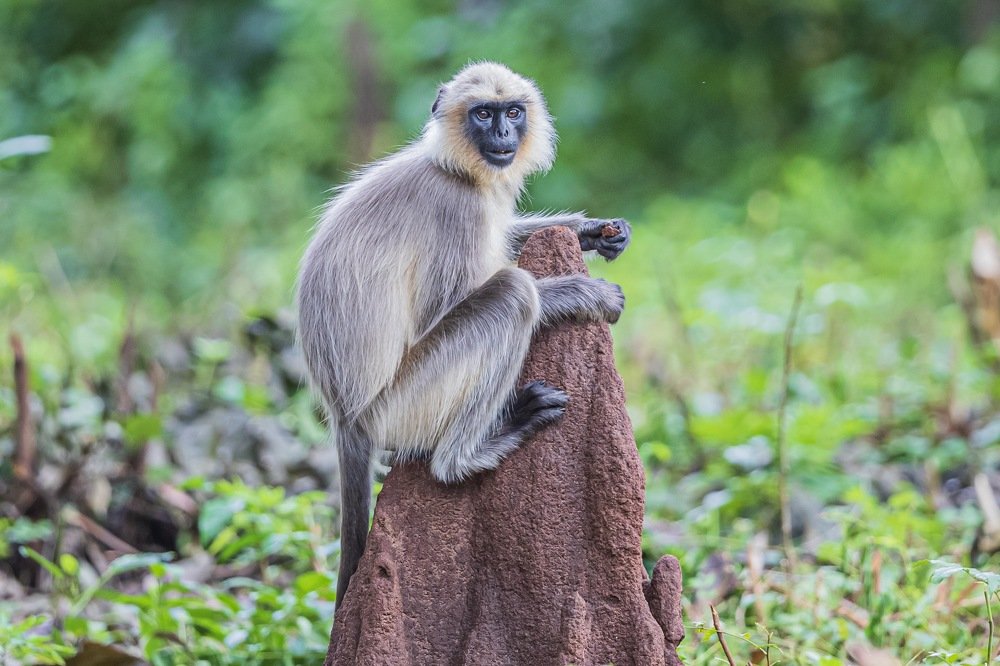 Photograph by Lionel falcao