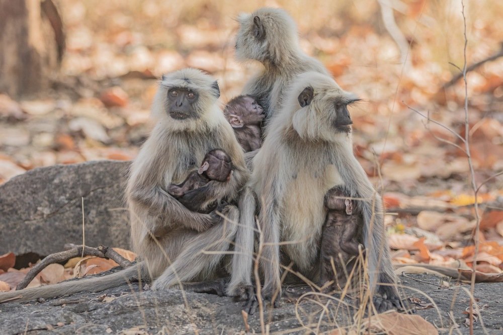 Photograph by Lionel falcao