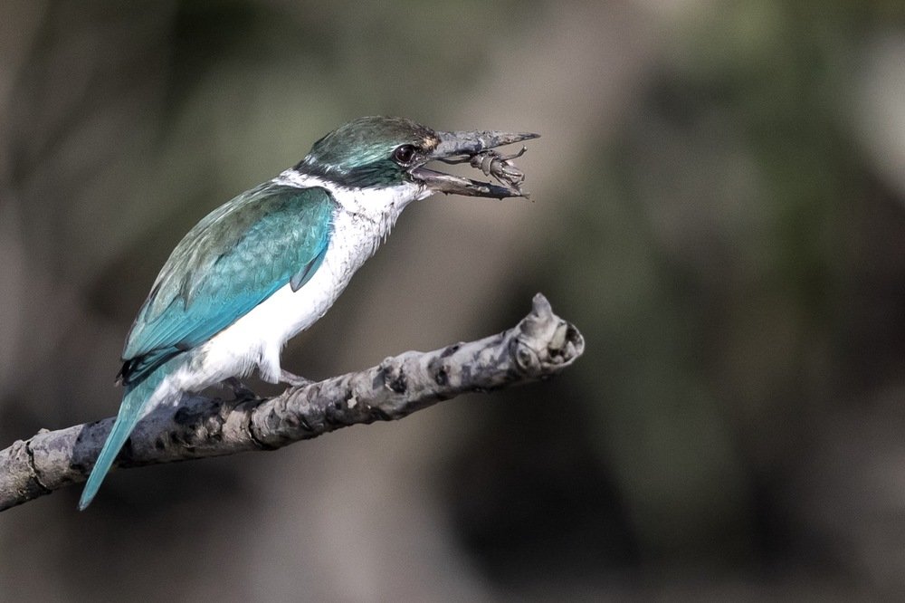 Photograph by Lionel falcao