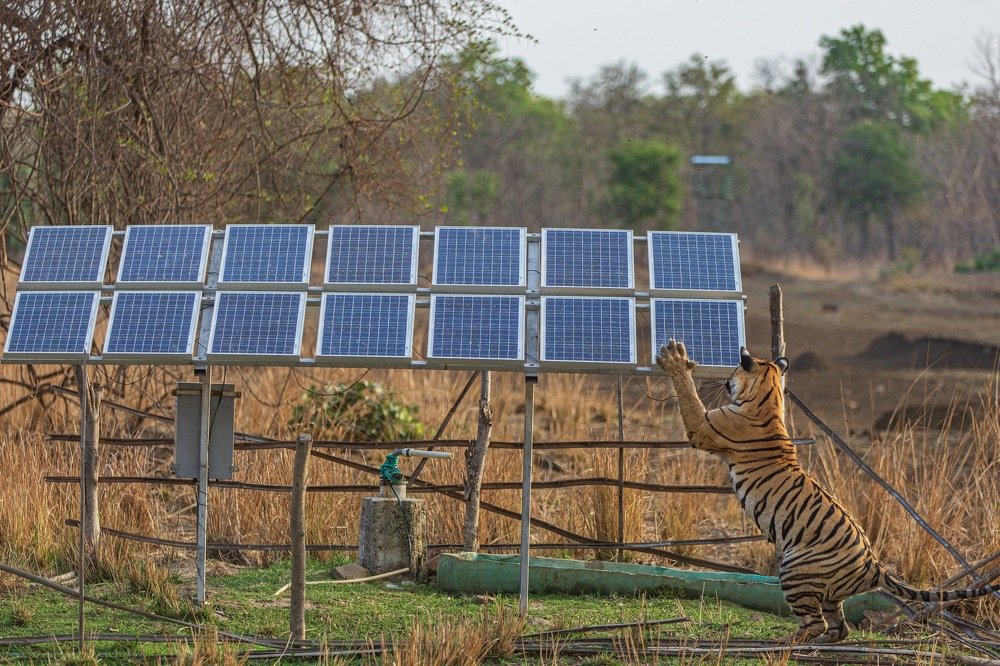Photograph by Lionel falcao