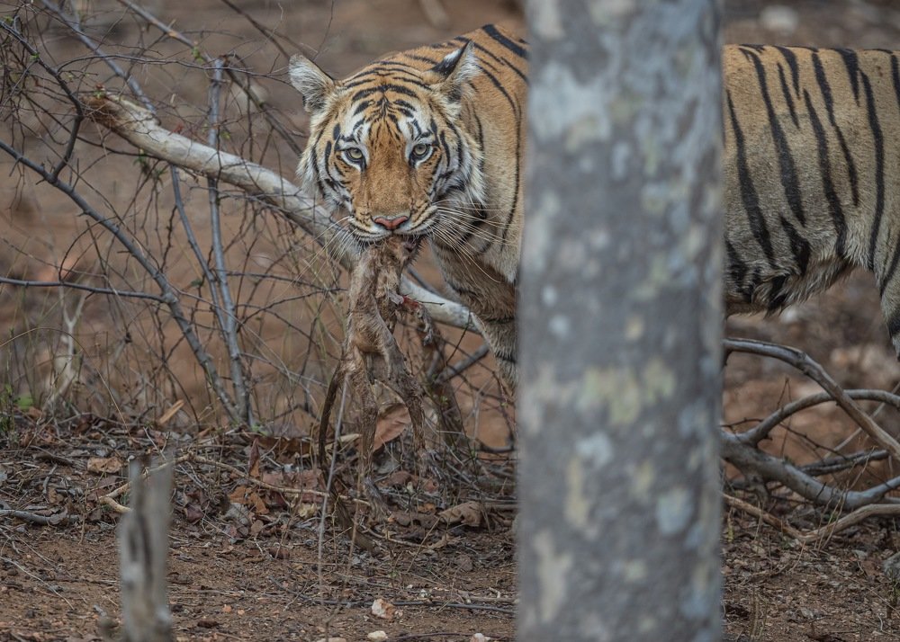 Photograph by Lionel falcao