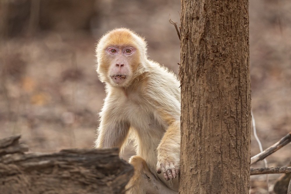 Photograph by Lionel falcao