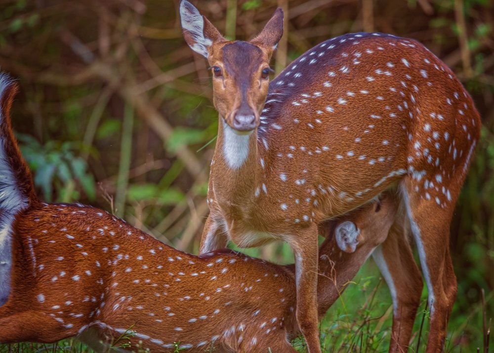 Photograph by Lionel falcao