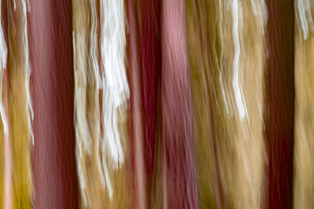 Photograph by Ela Opatowiecka