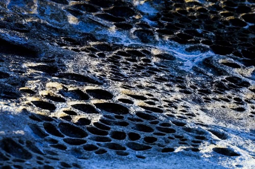 Photograph by Ela Opatowiecka