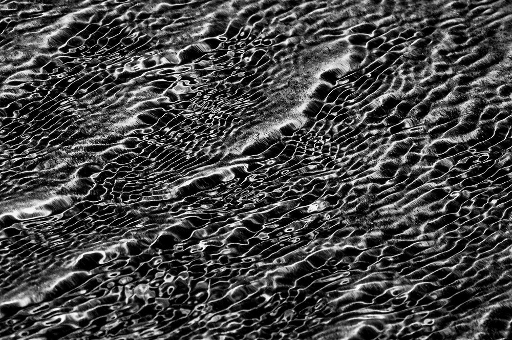 Photograph by Ela Opatowiecka