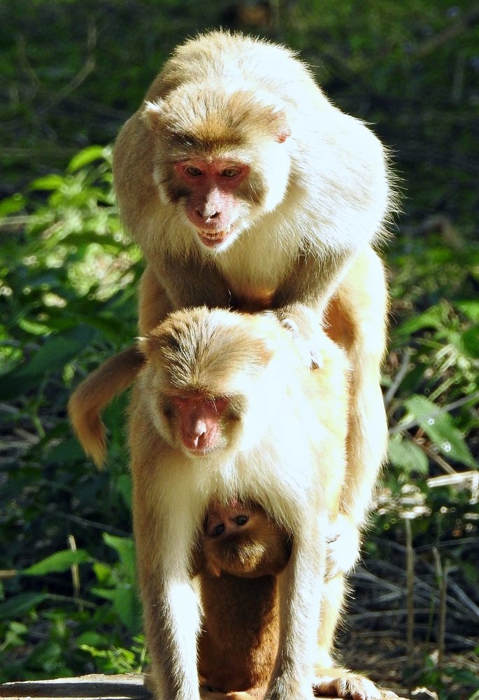 Photograph by Jay Sharan