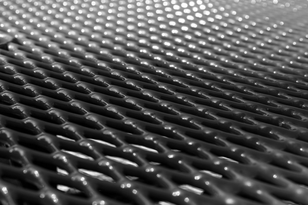 Photograph by Ela Opatowiecka