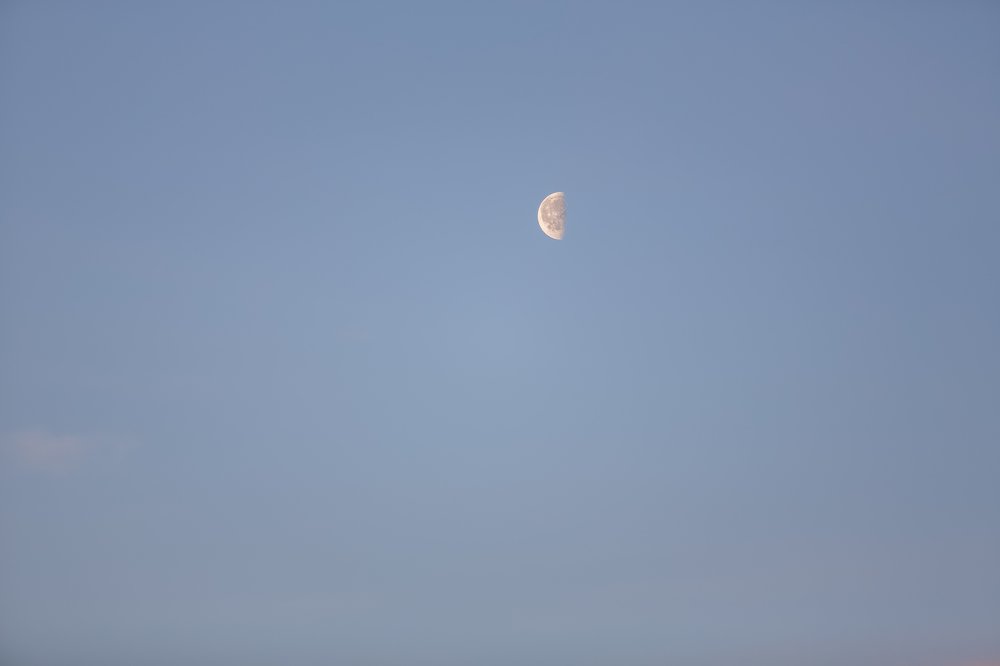 Photograph by Ольга Мурашева