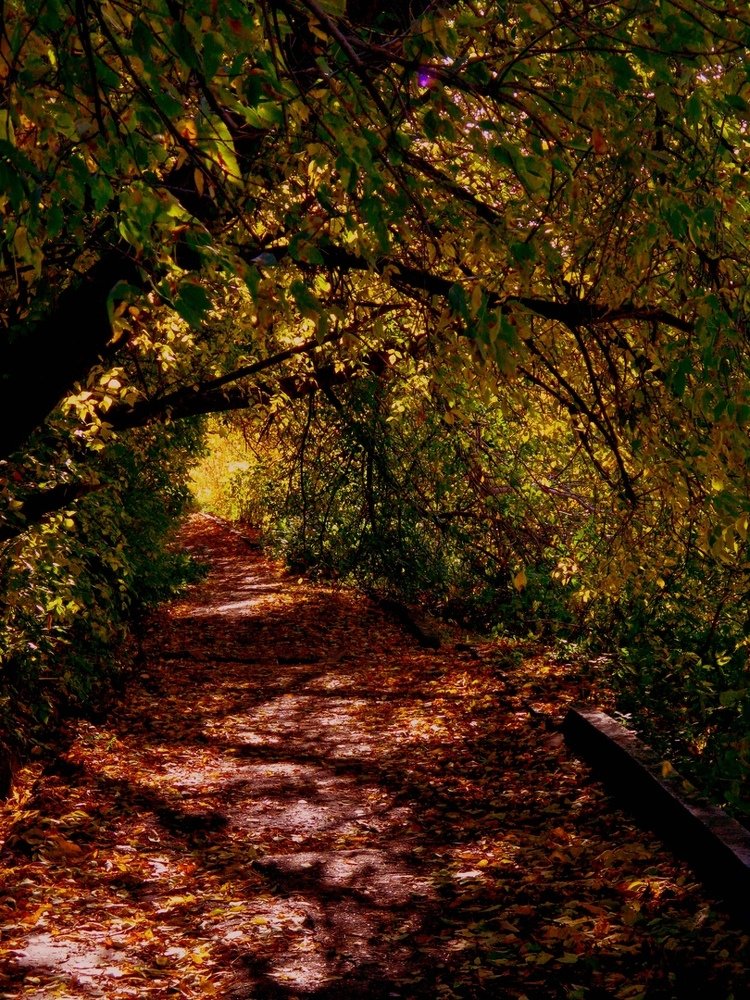 Photograph by Наталья Сазонова