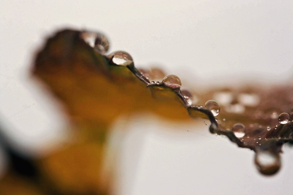 Photograph by Ela Opatowiecka