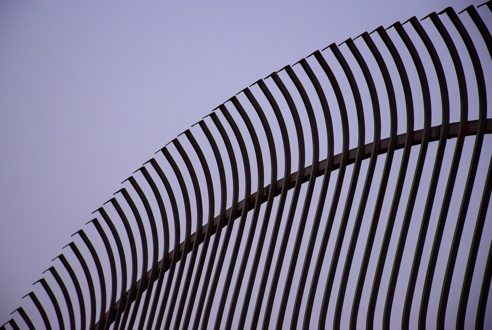 Photograph by Mahboobe Talebi