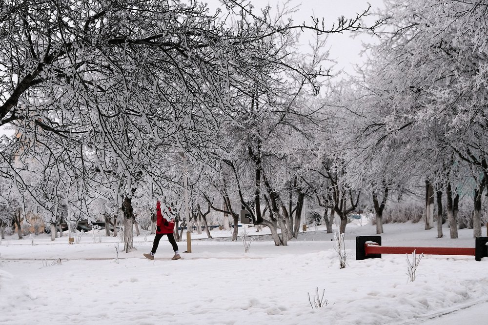 Photograph by Елена Зайцева