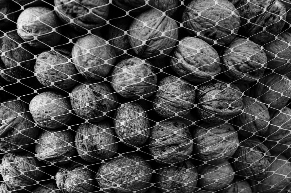 Photograph by Mahboobe Talebi