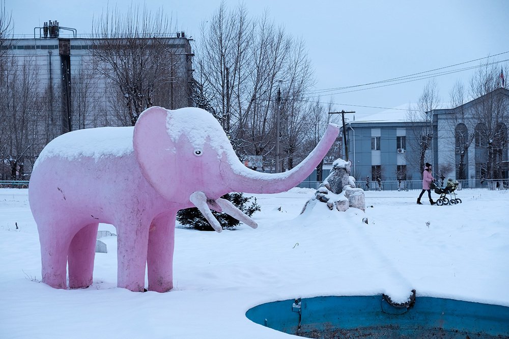 Photograph by Елена Зайцева