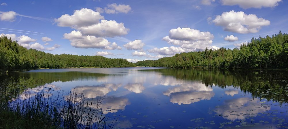 Зазеркалье