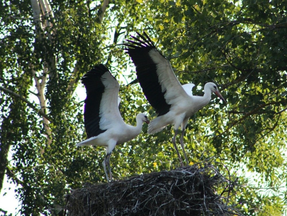 Photograph by Оксана Федулова