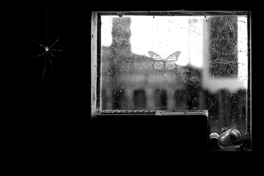 В ожидании подходящего момента...