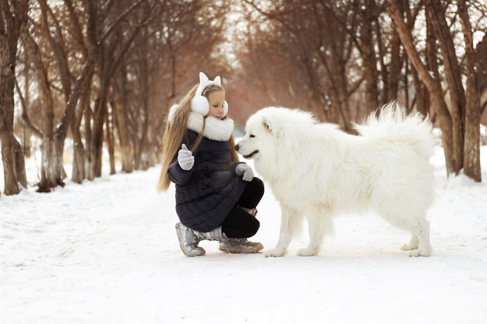 Знакомство