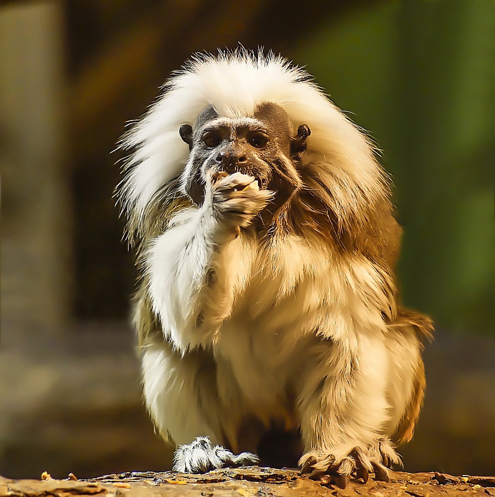 Photograph by Сергей Духанин