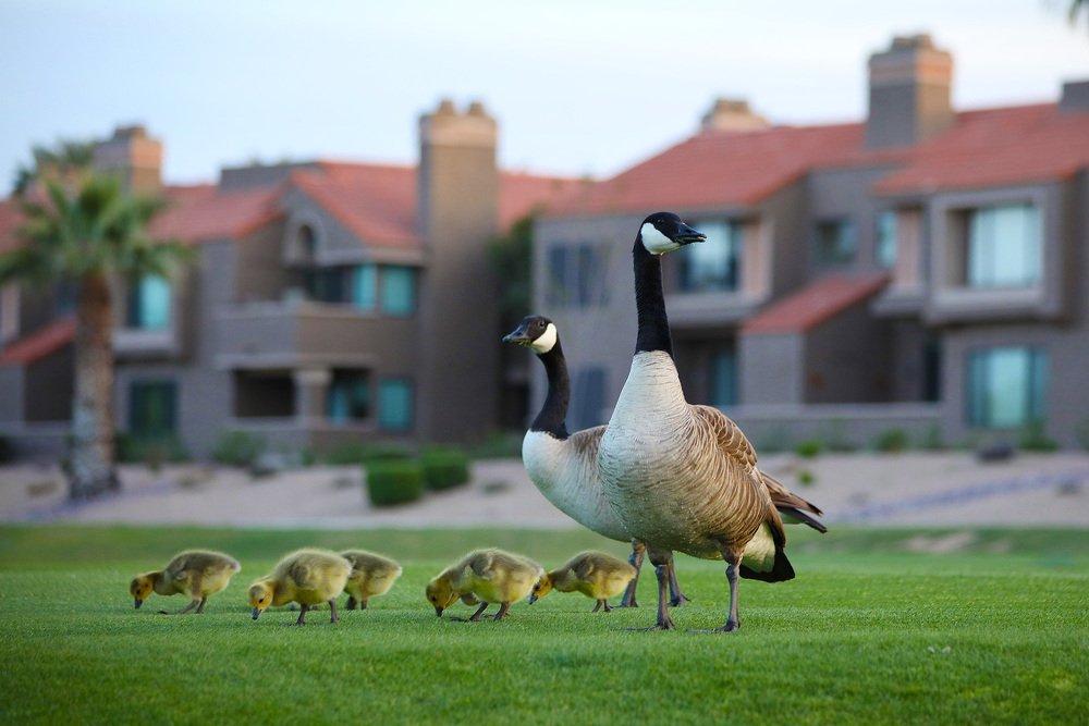 Photograph by Lana Anferow