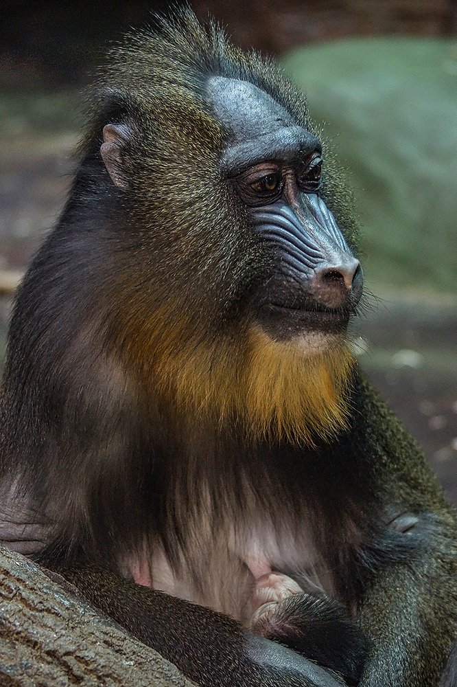 Photograph by Сергей Духанин